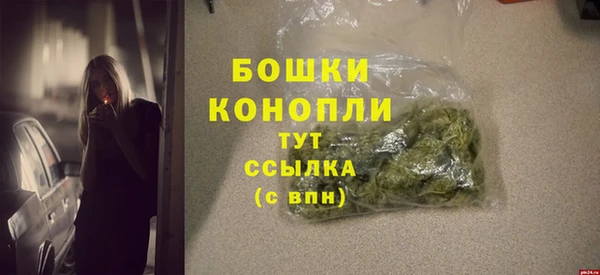 шишки Балахна