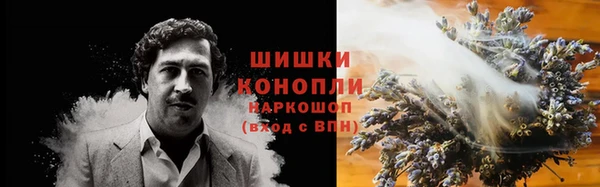 шишки Балахна