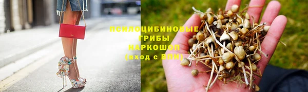 шишки Балахна