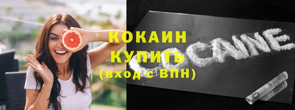 шишки Балахна