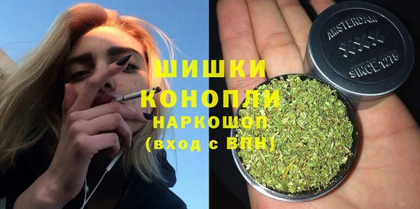 шишки Балахна