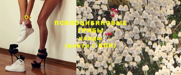 шишки Балахна