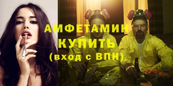 шишки Балахна