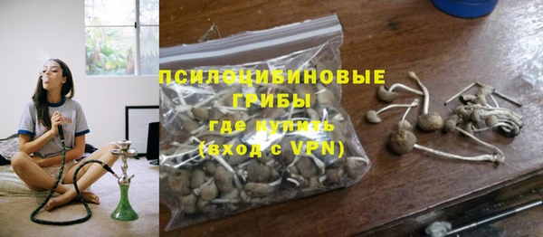 шишки Балахна